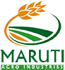 Maruti logo